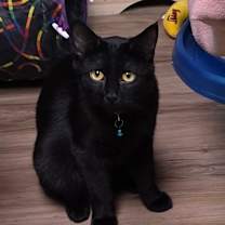 Thumbnail photo of Carson #1