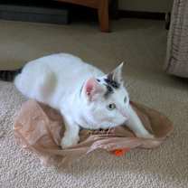 Thumbnail photo of Baby (Baby Girl) #3