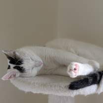 Thumbnail photo of Baby (Baby Girl) #4