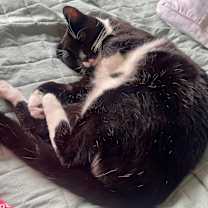 Thumbnail photo of Bo #4