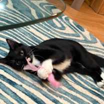 Thumbnail photo of Catherine / Meredith #1