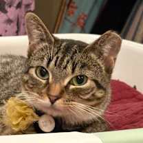 Thumbnail photo of Catherine / Meredith #2