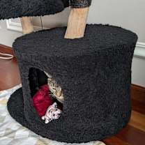 Thumbnail photo of Miss Tilly #3