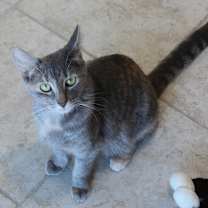 Thumbnail photo of Sugar #1