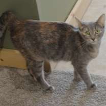 Thumbnail photo of Sugar #4