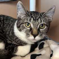 Thumbnail photo of Syeeda #1