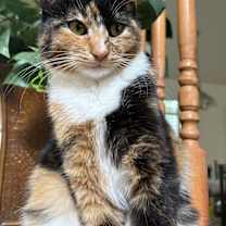 Thumbnail photo of Ming Ming #1