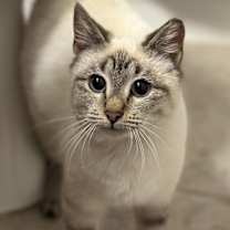 Thumbnail photo of Anna #2