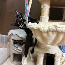 Thumbnail photo of Bernadette #2