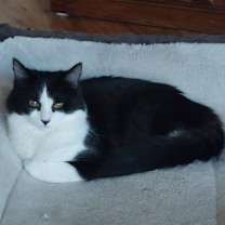 Thumbnail photo of Confetti #1