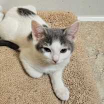 Thumbnail photo of Noelle #2