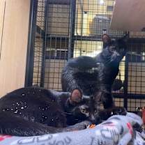 Thumbnail photo of Jerry (and Martin) #3