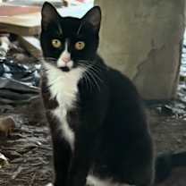 Thumbnail photo of Mamacita2 #2