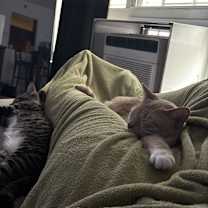 Thumbnail photo of Storm #4