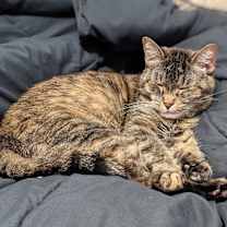 Thumbnail photo of Nina #4