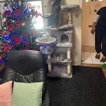 Thumbnail photo of Grey #4