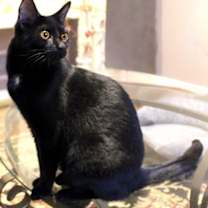 Thumbnail photo of Tippy #2