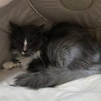 Thumbnail photo of Tucker #2