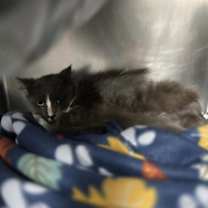 Thumbnail photo of Tucker #3