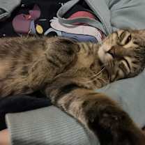 Thumbnail photo of Fergie #1