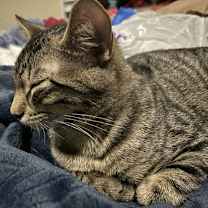 Thumbnail photo of Fergie #2