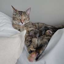 Thumbnail photo of Fawna #4