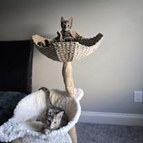 Thumbnail photo of Cloe #3