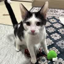 Thumbnail photo of Everett #2