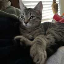 Thumbnail photo of Zoe #4