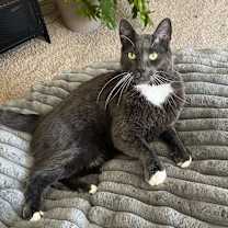 Thumbnail photo of Oliver #1