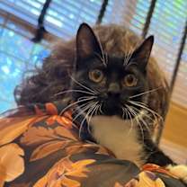 Thumbnail photo of Rita #1