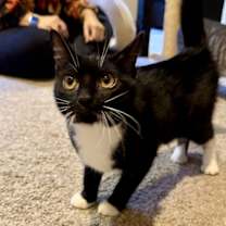 Thumbnail photo of Rita #2