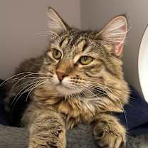 Thumbnail photo of Alison #1