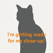 Thumbnail photo of Alison #2