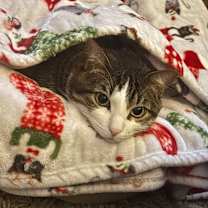 Thumbnail photo of Buddy Blake #1