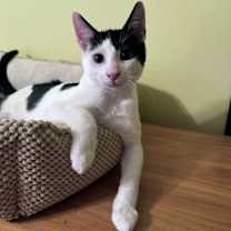 Thumbnail photo of Blake #3