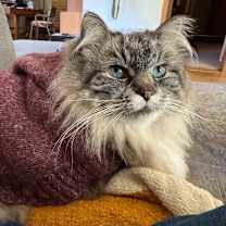 Thumbnail photo of Svetlana  #1