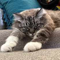 Thumbnail photo of Svetlana  #4