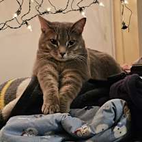 Thumbnail photo of Ella #1