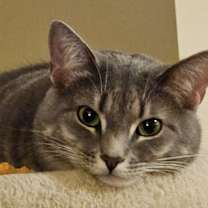 Thumbnail photo of Ella #2