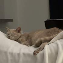 Thumbnail photo of Mika #4