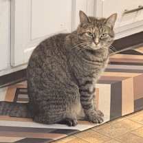 Thumbnail photo of Boots #3