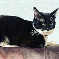 Thumbnail photo of Alexandra (Alex) #4