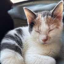 Thumbnail photo of Not Named #1