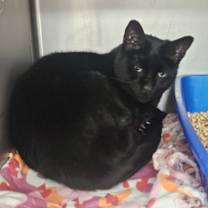 Thumbnail photo of JC #2