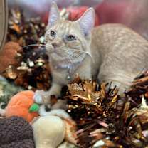 Thumbnail photo of Kenny #2