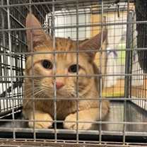 Thumbnail photo of Tyler #3