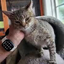 Thumbnail photo of Wyndham #3