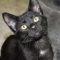 Thumbnail photo of Carsyn #1