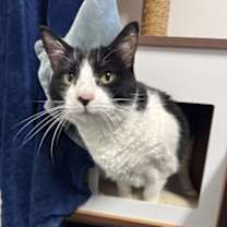 Thumbnail photo of Maluka #1